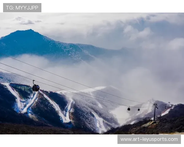 世界高山滑雪赛道维护与生态修复年度总结第六版与评估报告公布